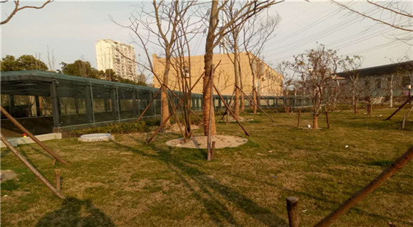 鋼結構雨棚為什么會漏水呢?又該如何解決